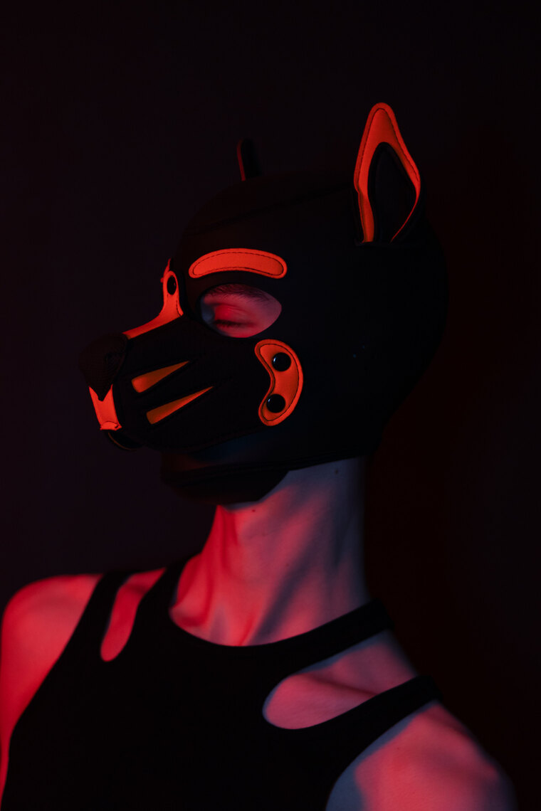 Nilo banner image