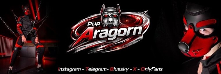 Pup Aragorn cover image
