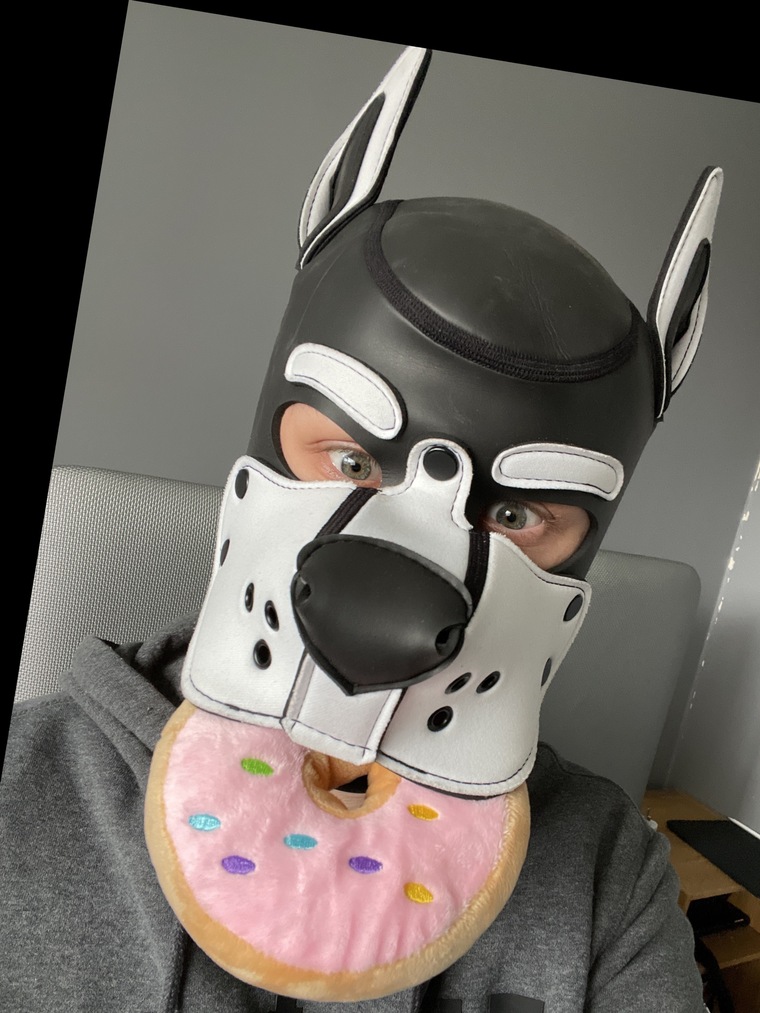 Pup Axel Husky cover image