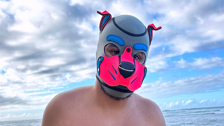 Pup Bellagio cover image