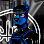 Pup Inper avatar