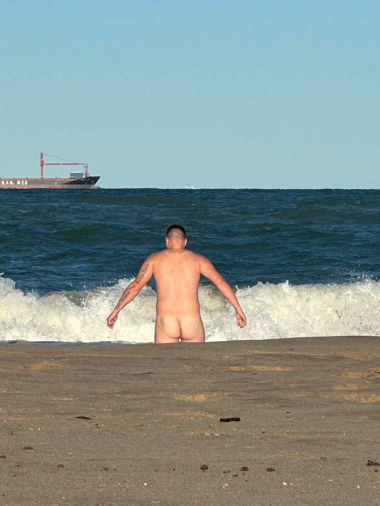 pup_Navaar cover image