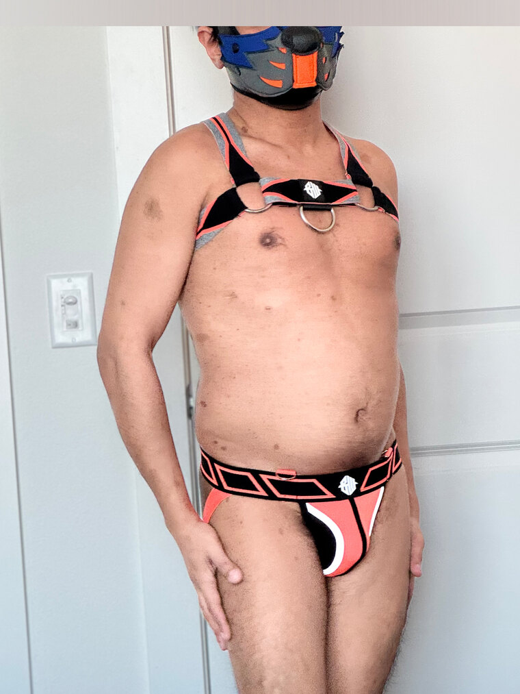 PupTwiggy cover image