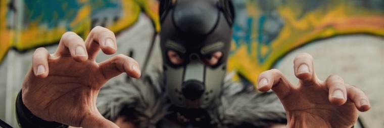 PupAmp banner image