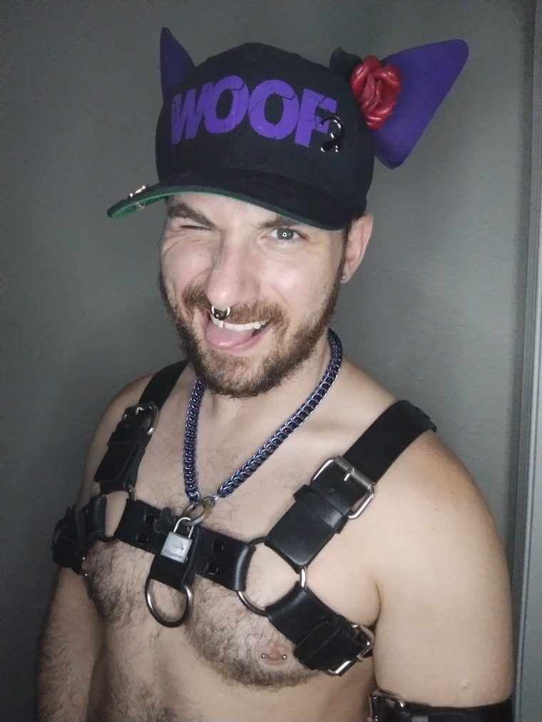 PupBuddy banner image