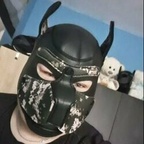 Pup_Buddy avatar