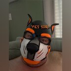 Pup Elio avatar
