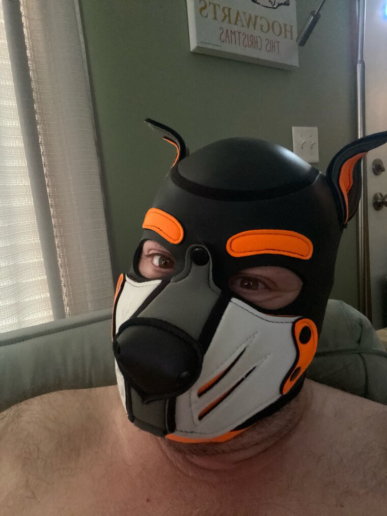 Pup Elio banner image