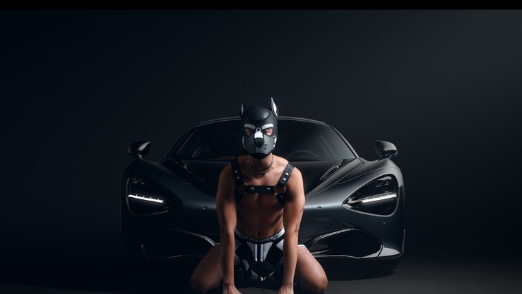 Pup Elite banner image