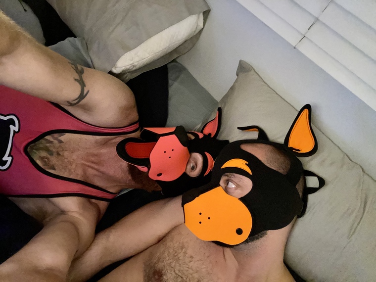 🐶PupFlip😈☣️ banner image