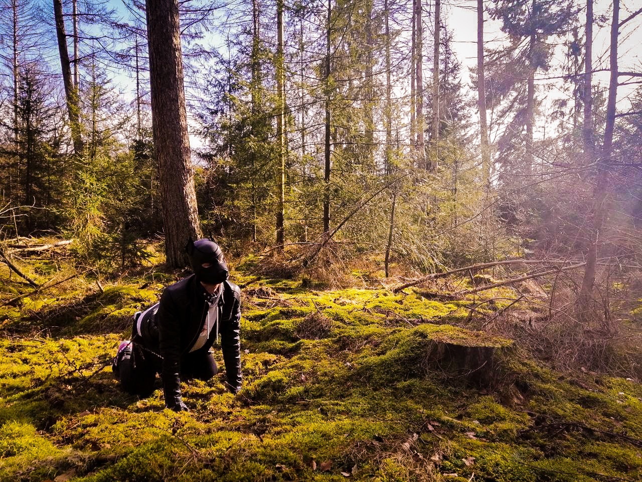 PupGhosty banner image