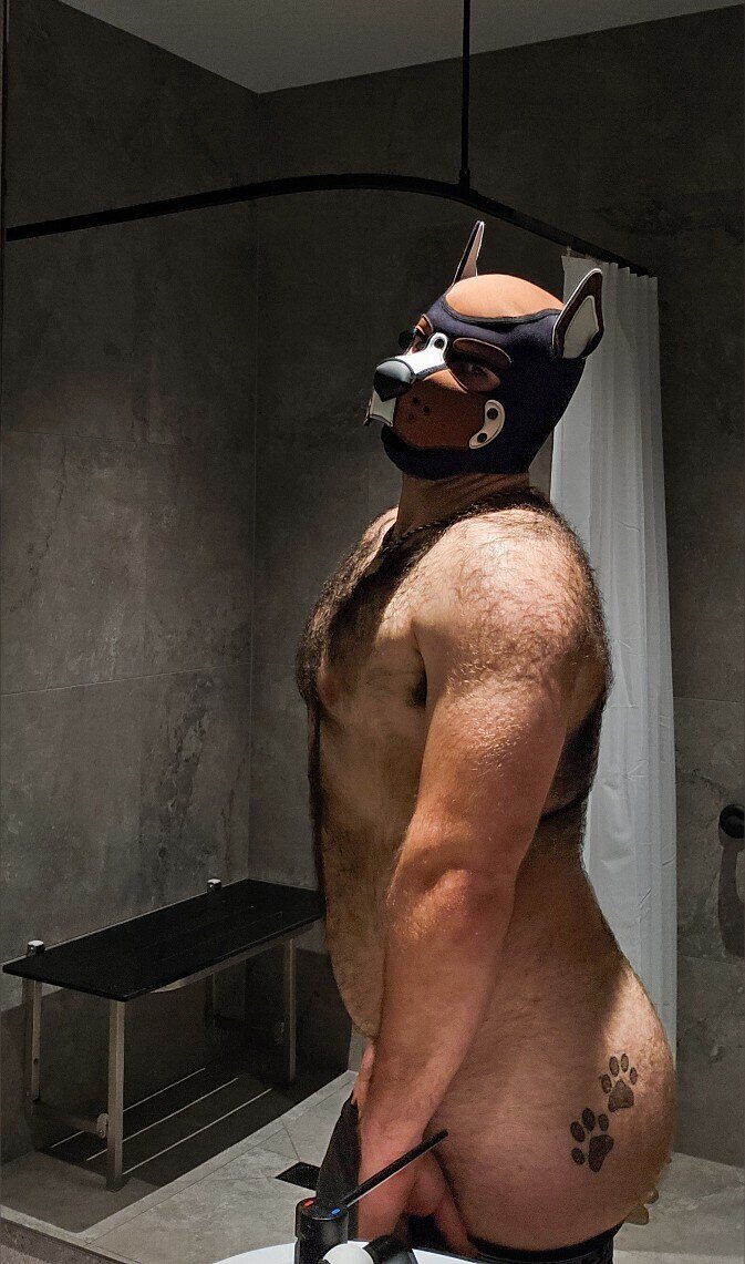 PUP JACK banner image