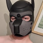 Pup Jackal avatar