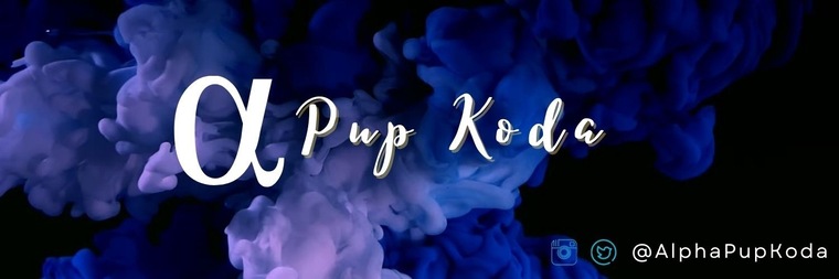 Pup Koda cover image
