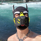 Pup_Max_🇨🇭 avatar