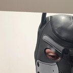 Pupmurse avatar