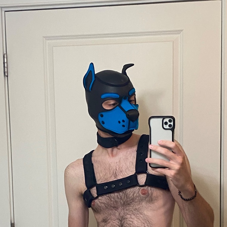 Pup Patch cover image