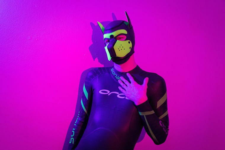 Pup Phil cover image