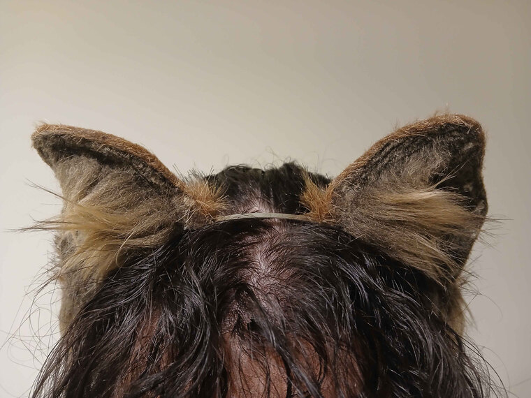 Puppi cover image