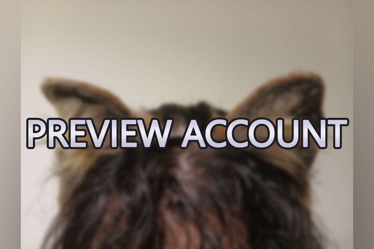 PuppiLovePreview banner image