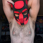 Pup Psybin &amp; Buddy avatar