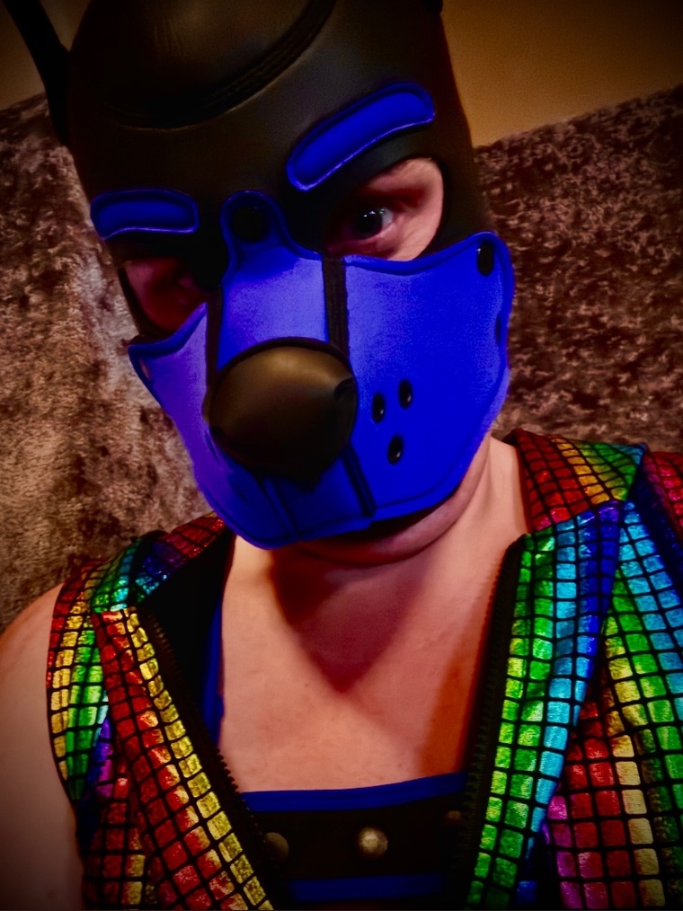 Puppy Foxii cover image