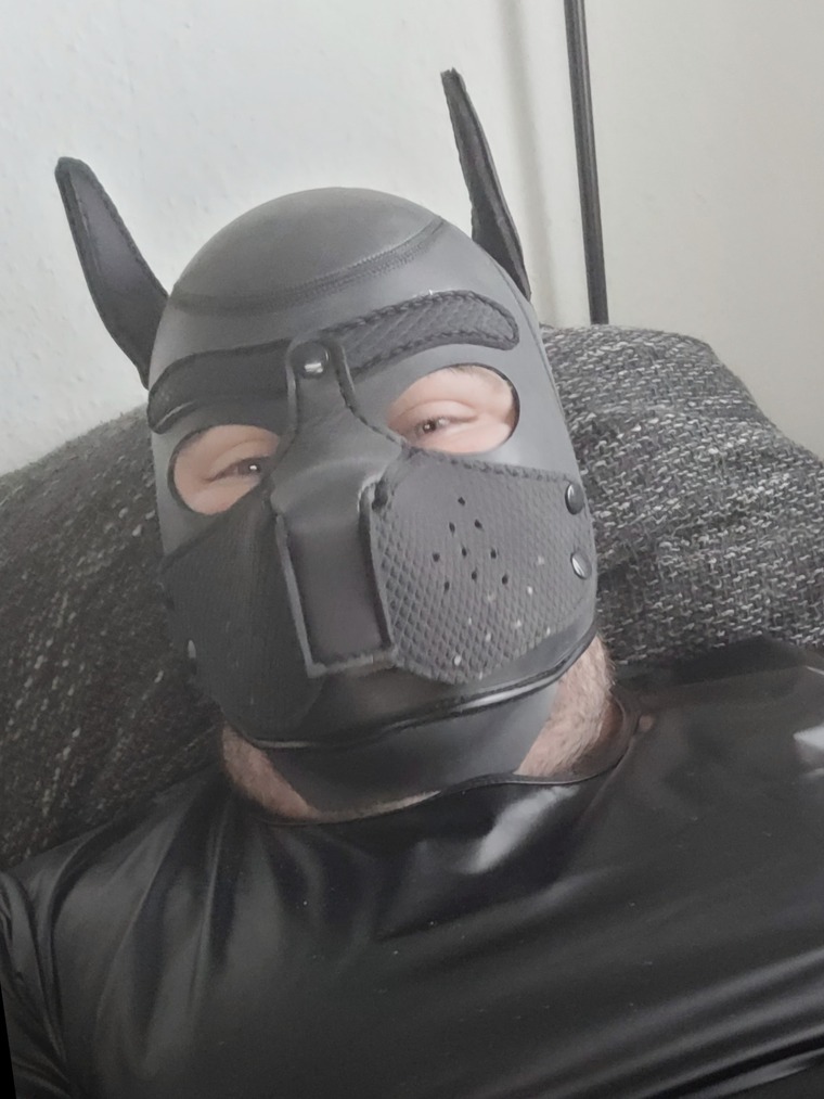 Puppy kecks banner image