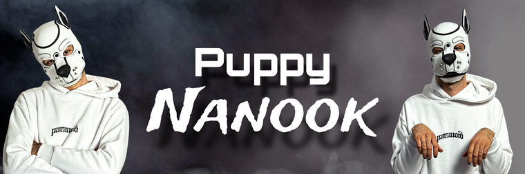 Puppy Nanook banner image
