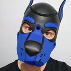 Pup Rupert avatar