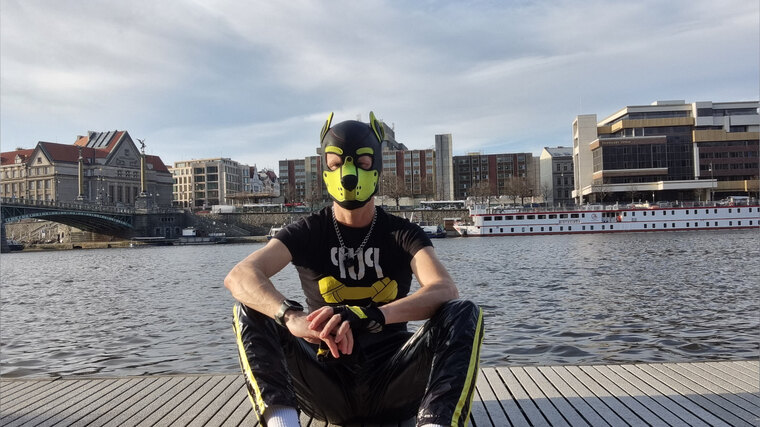 Puppy_Tomik cover image