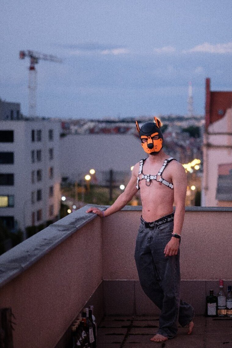 ✨ Pup Buckie 🐶 🐾 cover image