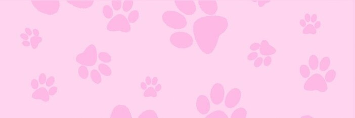 Jasmine banner image