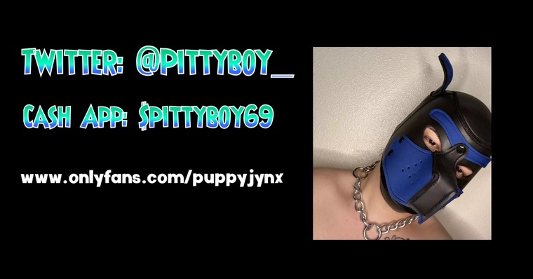 puppy jynx banner image