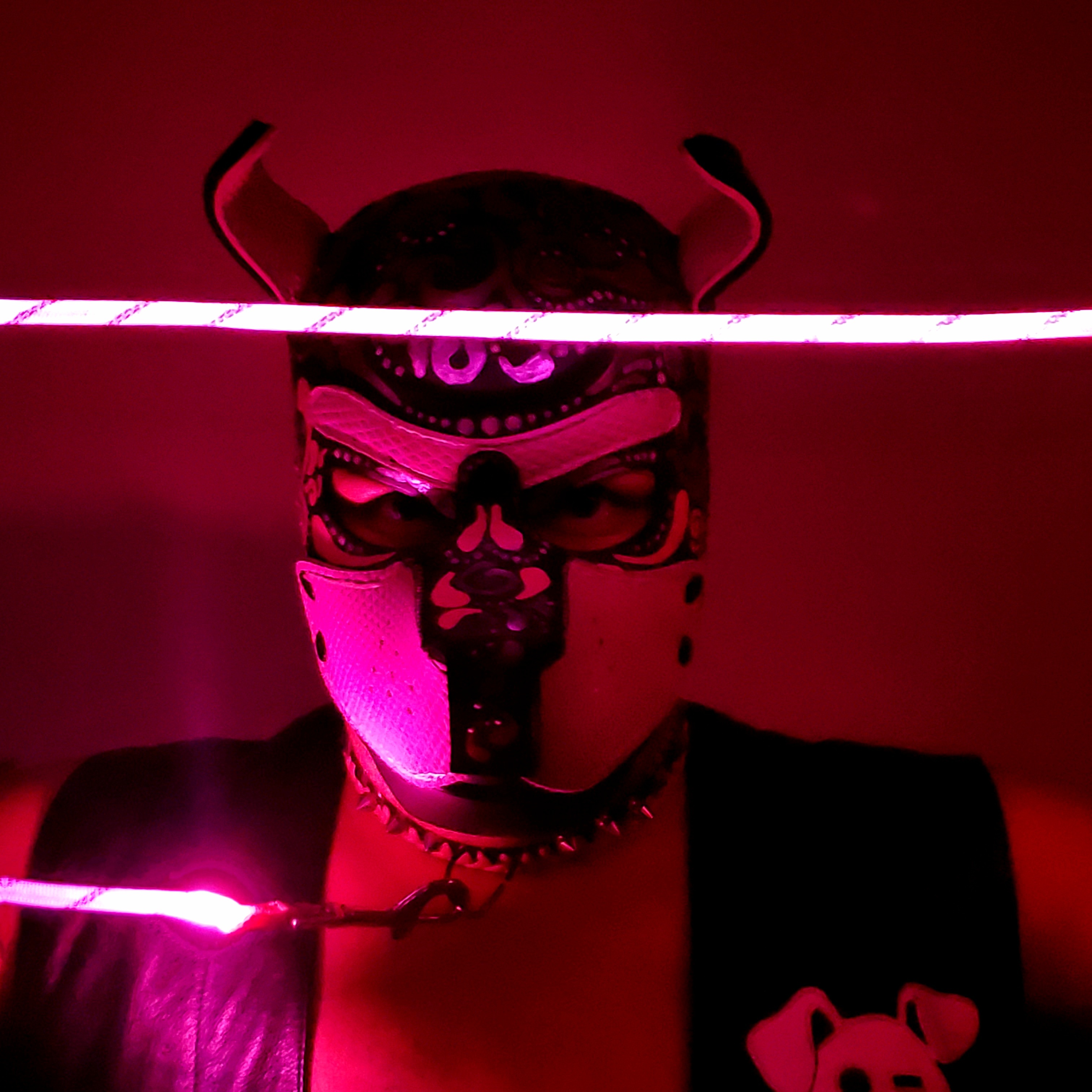 Pup Ramsey banner image