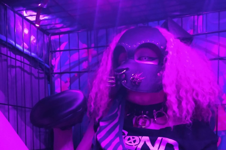 Pup Rhodes banner image