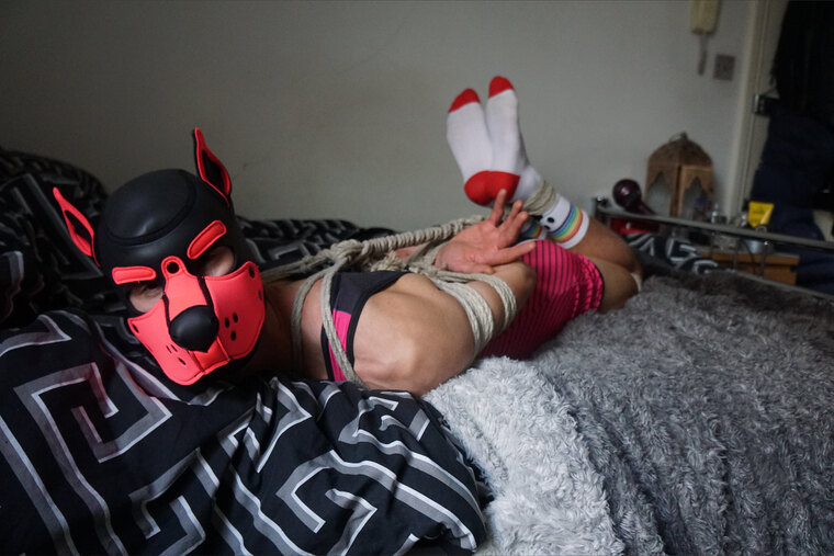 Pup Rocky cover image