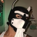 pupboxer avatar
