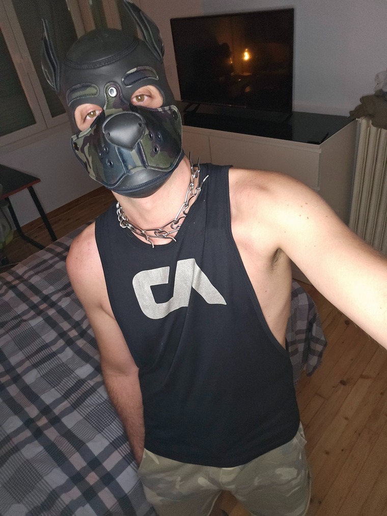 Taffy The Pup cover image