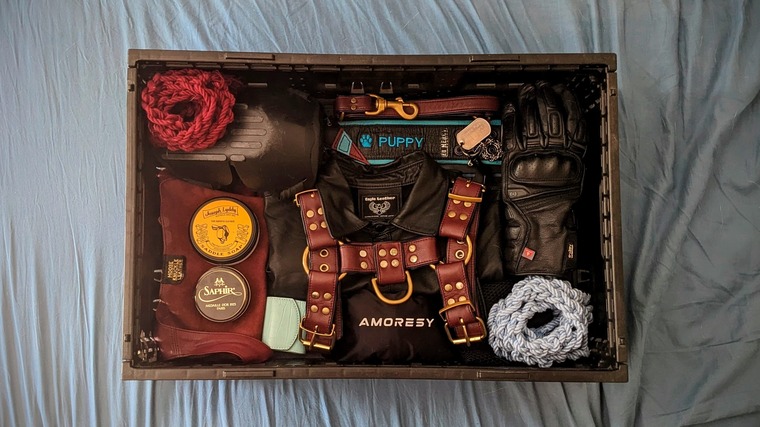 Leather Pup Auggie cover image