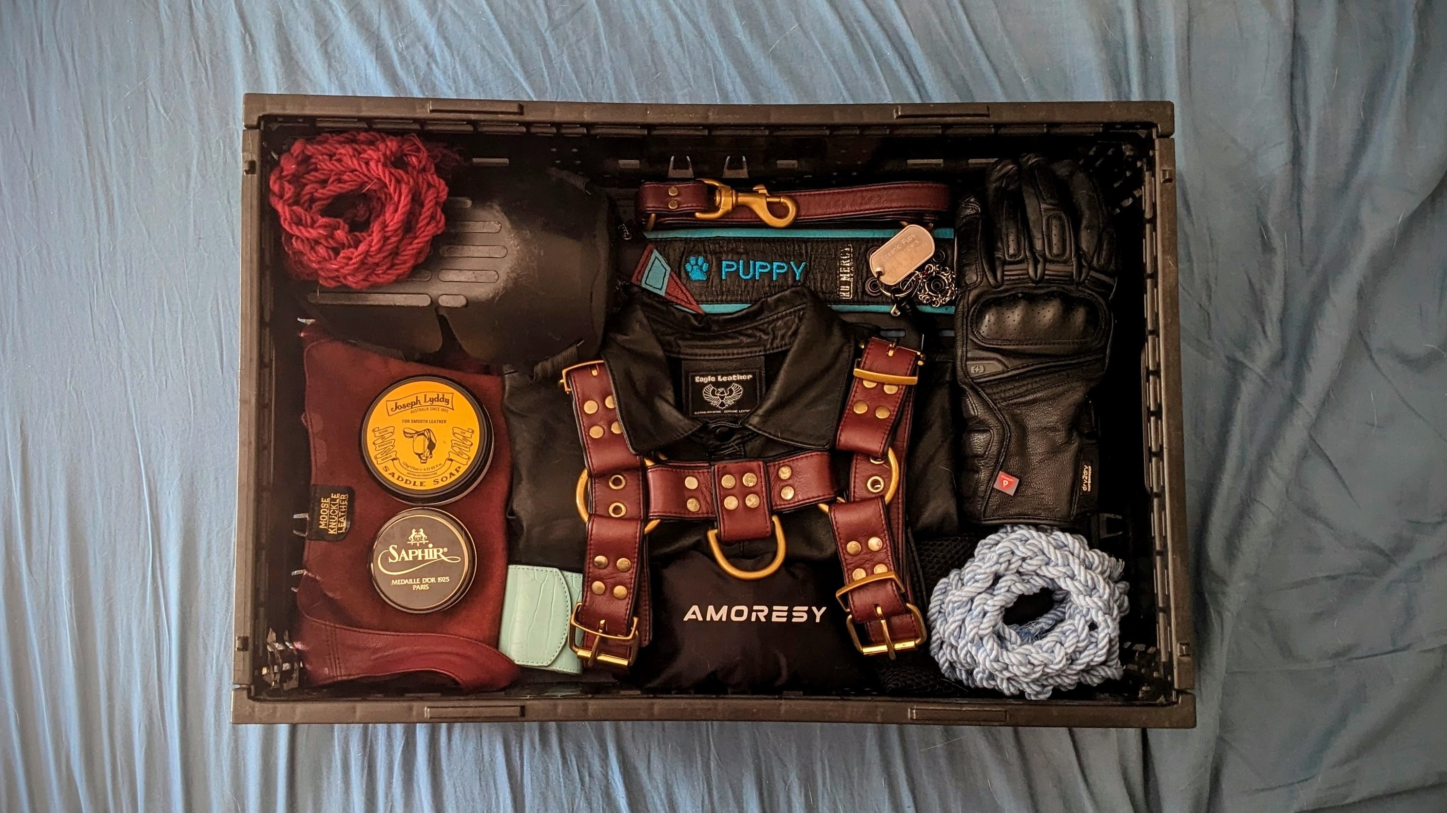 Leather Pup Auggie banner image
