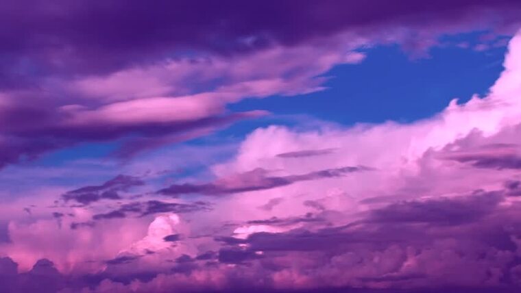 Purple-cotton cover image