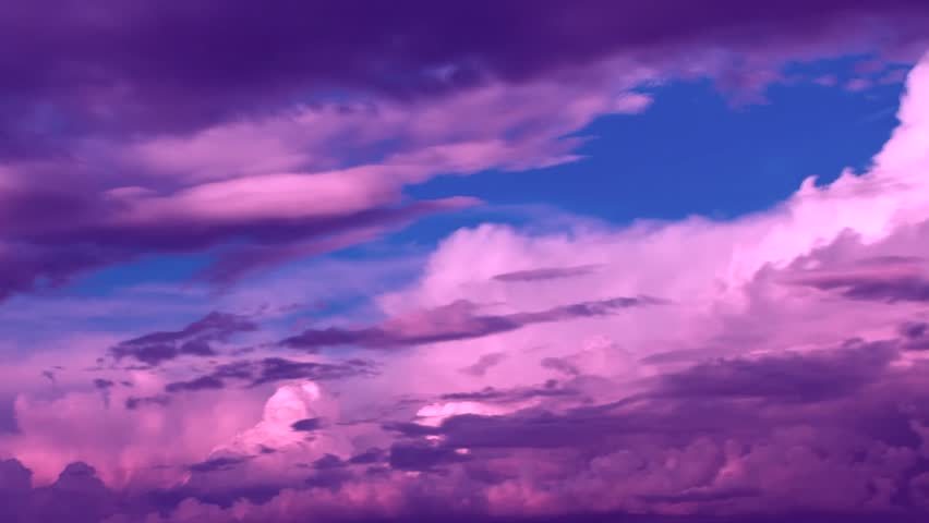 Purple-cotton banner image