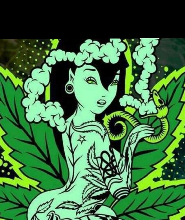 Purp Locs Lala cover image