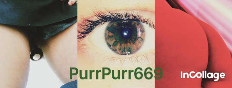 PurrPurr669 banner image