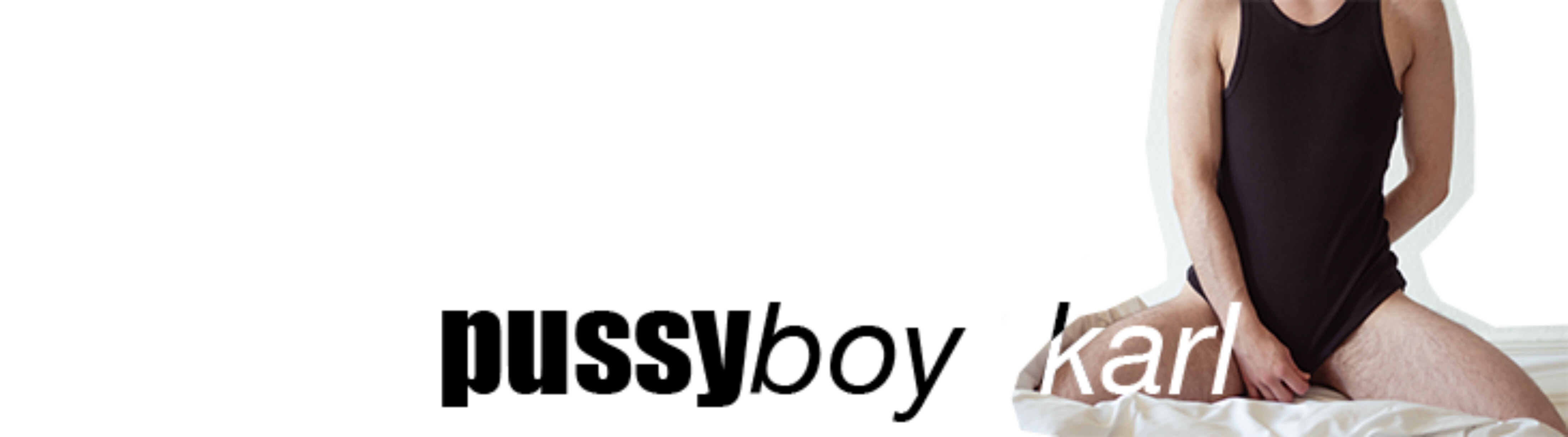 pussyboy_karl banner image