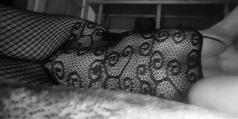 PussyCat cover image