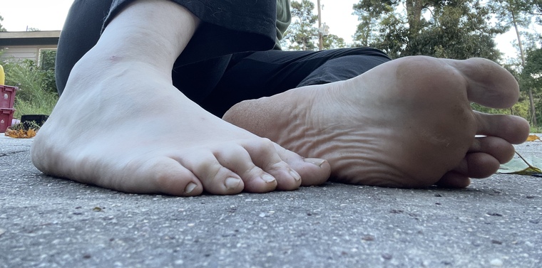 Pussyfoot banner image