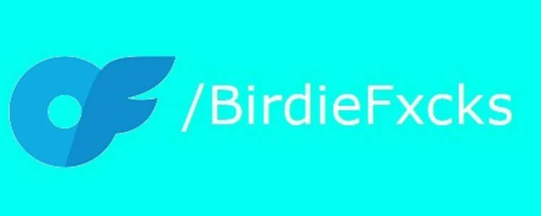 Birdie. cover image