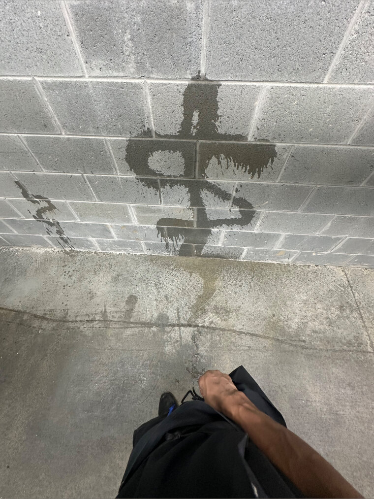 SNMNRLUHBRA cover image