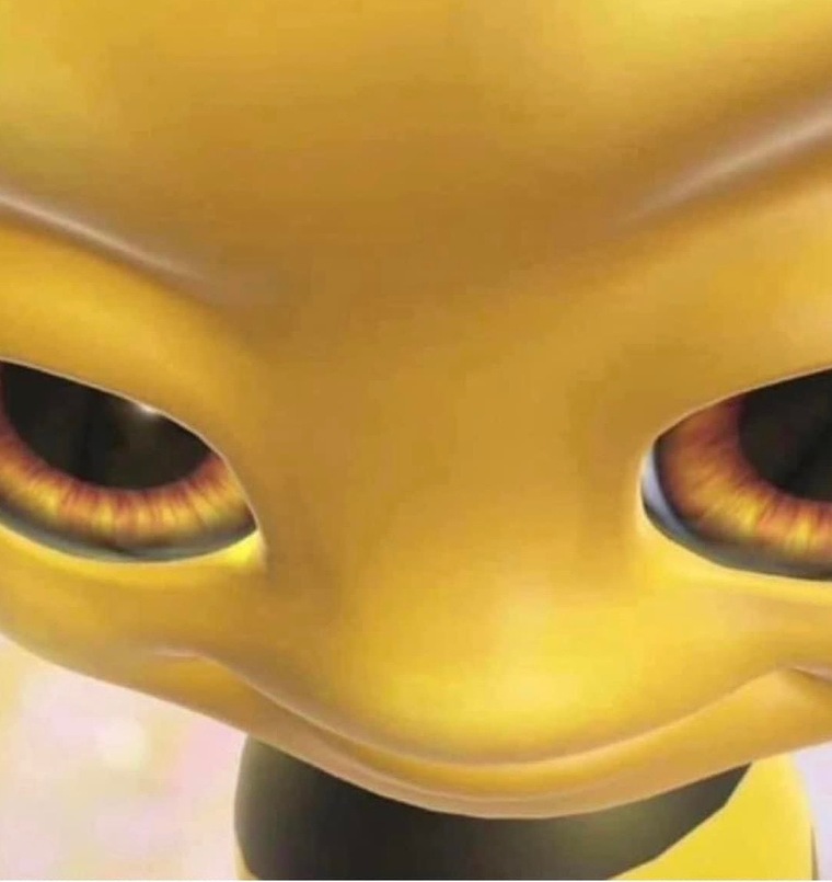 mi banner image